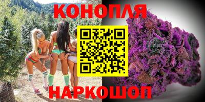 сатива Бугуруслан